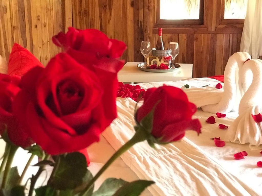 San Luis La Herradura Hotel Tortuga Village מראה חיצוני תמונה