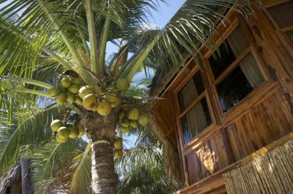 San Luis La Herradura Hotel Tortuga Village מראה חיצוני תמונה